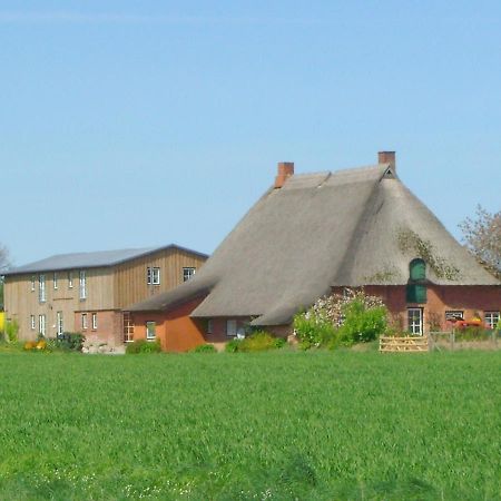 Ferienwohnung Hof Triangel - Whg 3 - Bauernhofurlaub mit Streicheltieren und Treckerfahren Riepsdorf Exterior foto